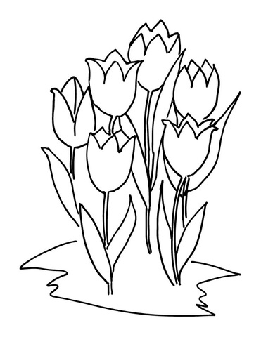 Six Tulips  Coloring Page